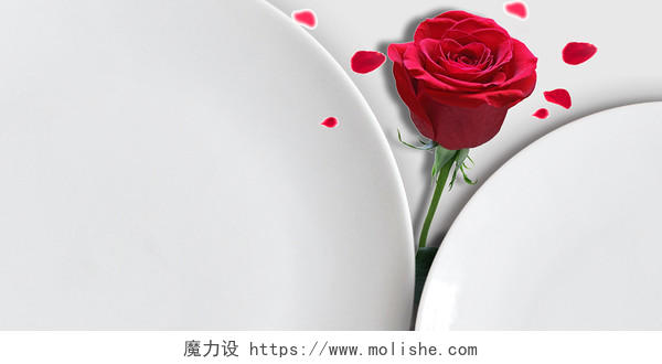 白色简约红色玫瑰花情人节214情人节背景